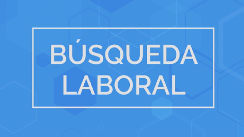 Búsqueda laboral