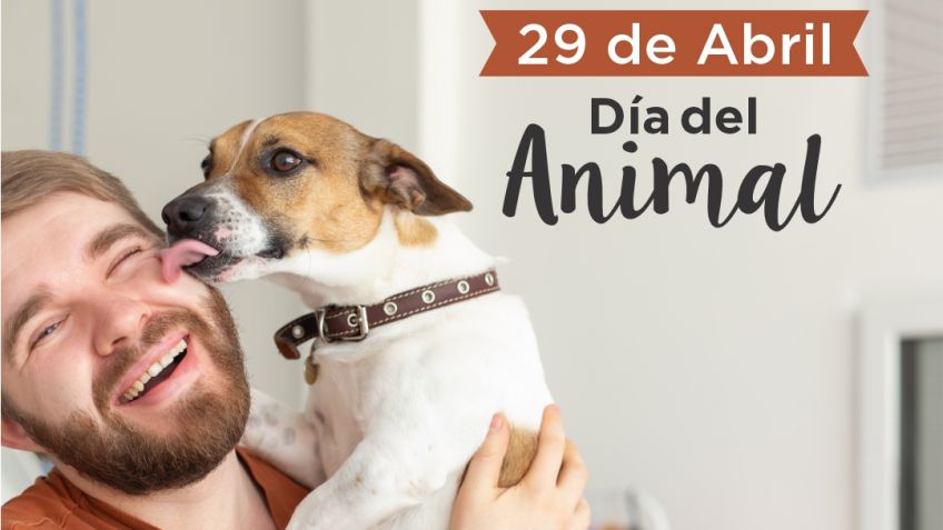 29 de abril | Día del animal
