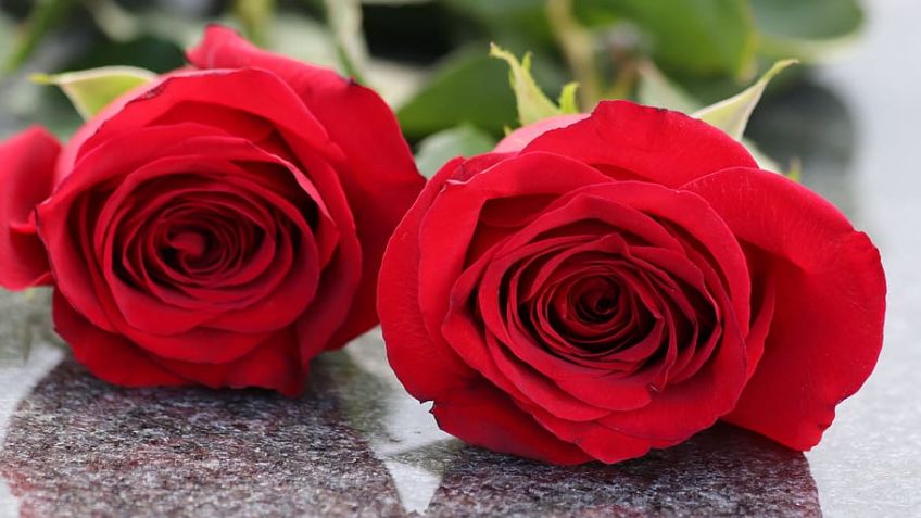 Condolencias