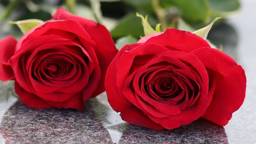 Nuestras condolencias al Padre Mauricio Scoltore y a Fabián Scoltore