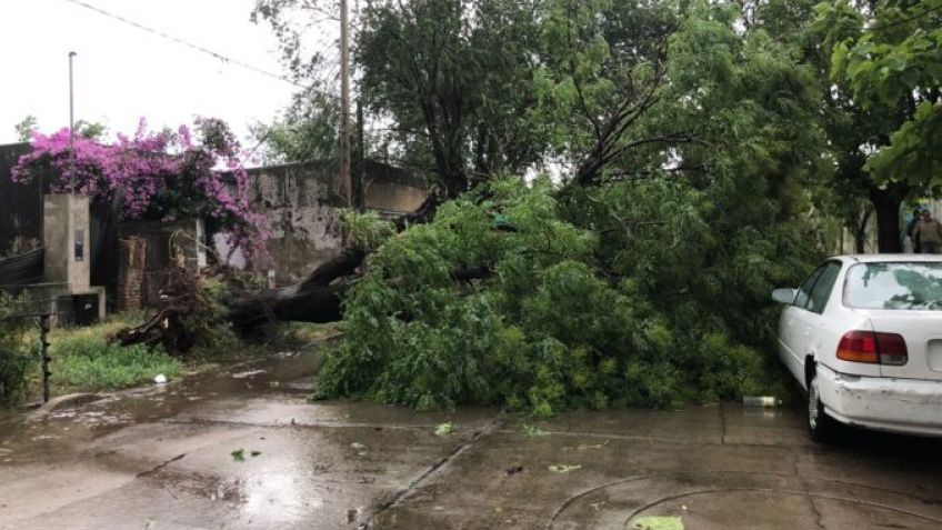 Video/Temporal de lluvia y viento causó cuantiosos daños en Bolívar