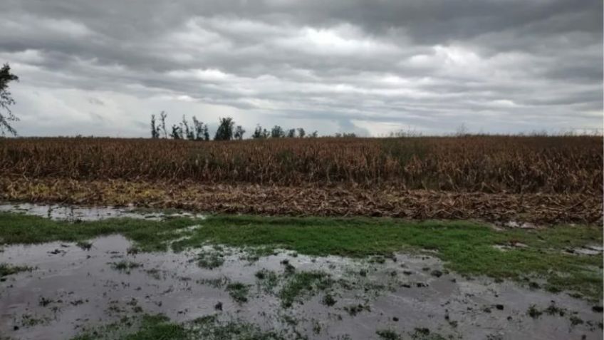 Saladillo declarado en estado de Emergencia y/o Desastre Agropecuario